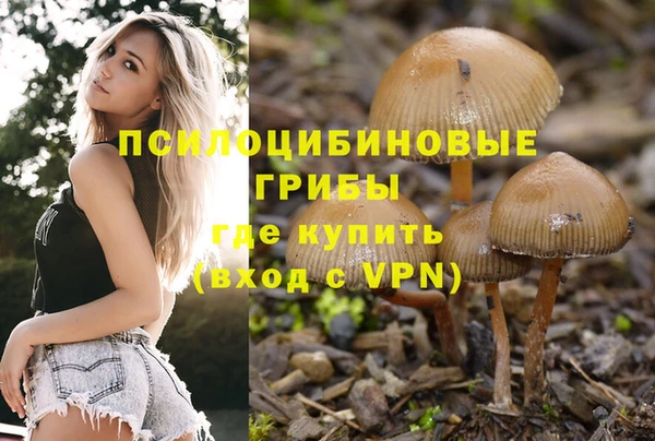 молекула духа Верея