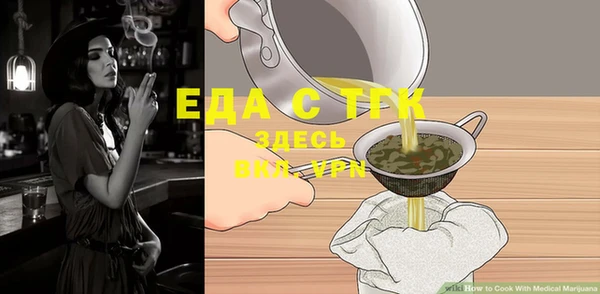 дживик Верхний Тагил