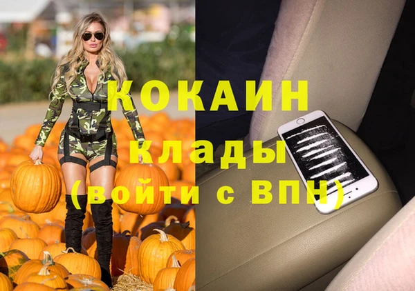 дживик Верхний Тагил