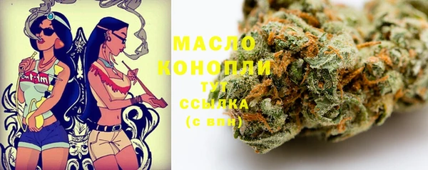 дживик Верхний Тагил