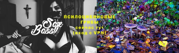 дживик Верхний Тагил