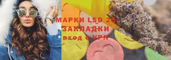 дживик Верхний Тагил