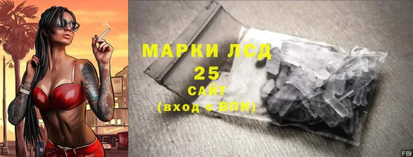 дживик Верхний Тагил