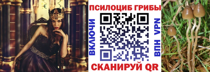 Псилоцибиновые грибы мицелий  Калуга 
